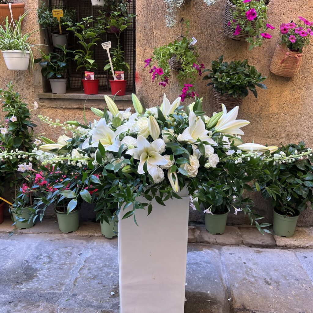Cuscino bianco